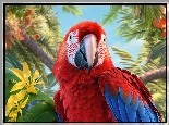 Papuga, Ara, Czerwona, Kwiaty, Grafika