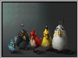 Angry birds, Ptaki