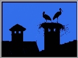 Bociany, Gniazdo, Domy, Noc