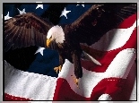Flaga, USA,  Bielik amerykański
