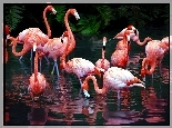 Flamingi, Staw