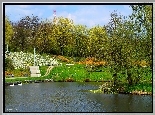Jeziorko, Woda, Łabędzie, Zieleń, Drzewa
