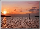 Jezioro, Łódz, Ptaki, Zachód, Słońca