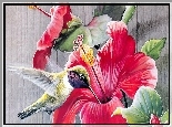 Kwiat, Koliber, Art