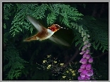 Koliber, Lot, Kwiatek, Drzewko