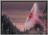 Phoenix, Lasy, Niebo