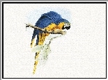 Niebiesko, Żółta, Papuga, Edward Lear
