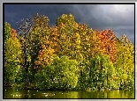 Rzeka, Drzewa, Kaczki, Jesień