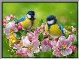 Ptaki, Sikorki modre, Gałęzie, Kwitnące, Drzewa, Kwiaty, Motyl