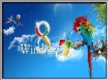 System Operacyjny, Windows 8, Papuga