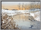 Rzeka, Trawy, Bocian
