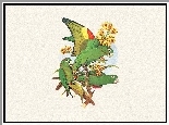 Zielone, Papugi, Edward Lear