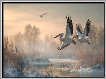 Dwa, Pelikany, Lot, Zima, Grafika AI