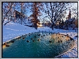 Zima, Park, Drzewa, Staw, Kaczki