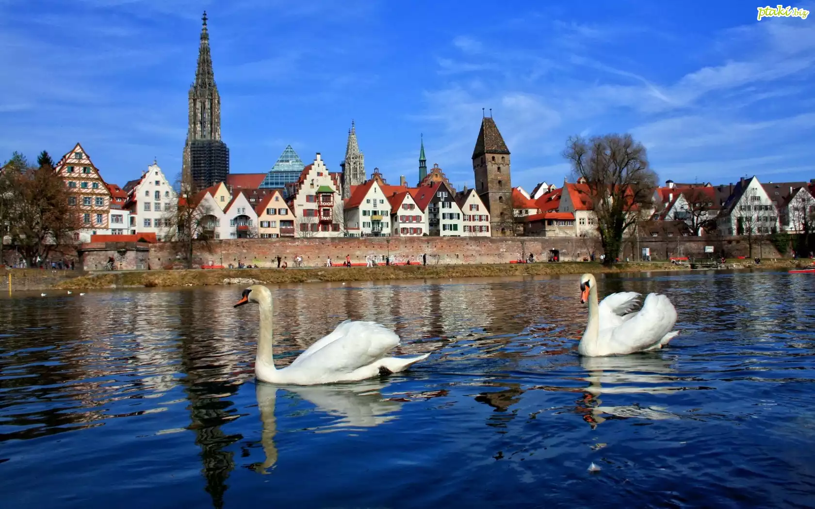 Łabędzie, Miasteczko, Bawaria, Niemcy