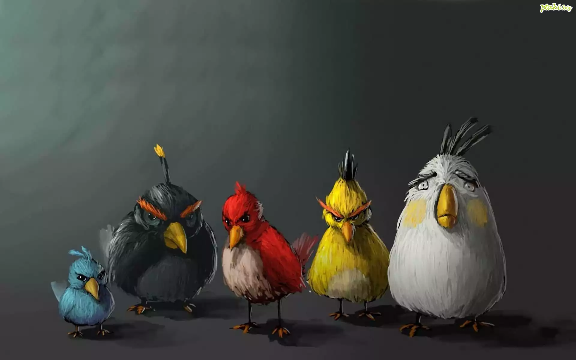 Angry birds, Ptaki