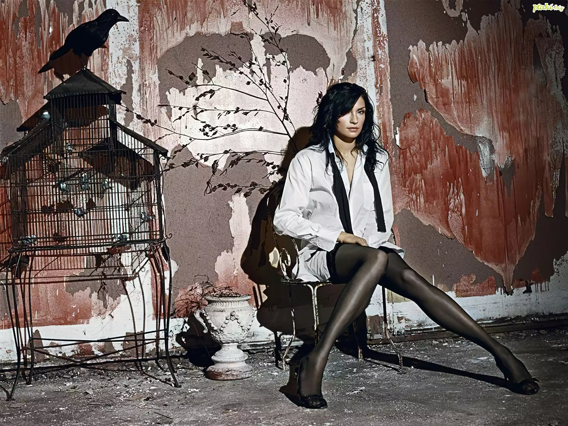 Famke Janssen, kruk