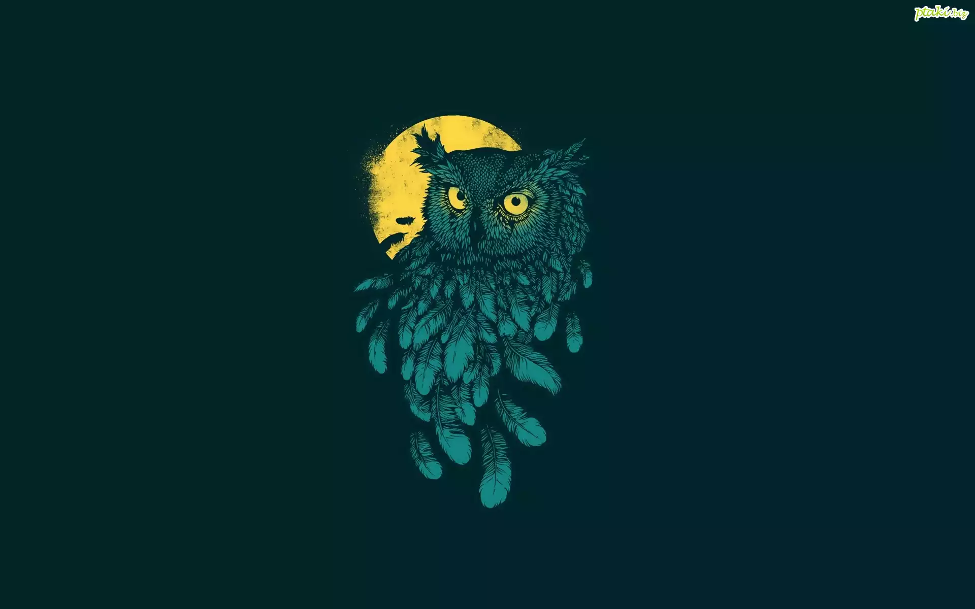 Sowa, Księżyc, 2D