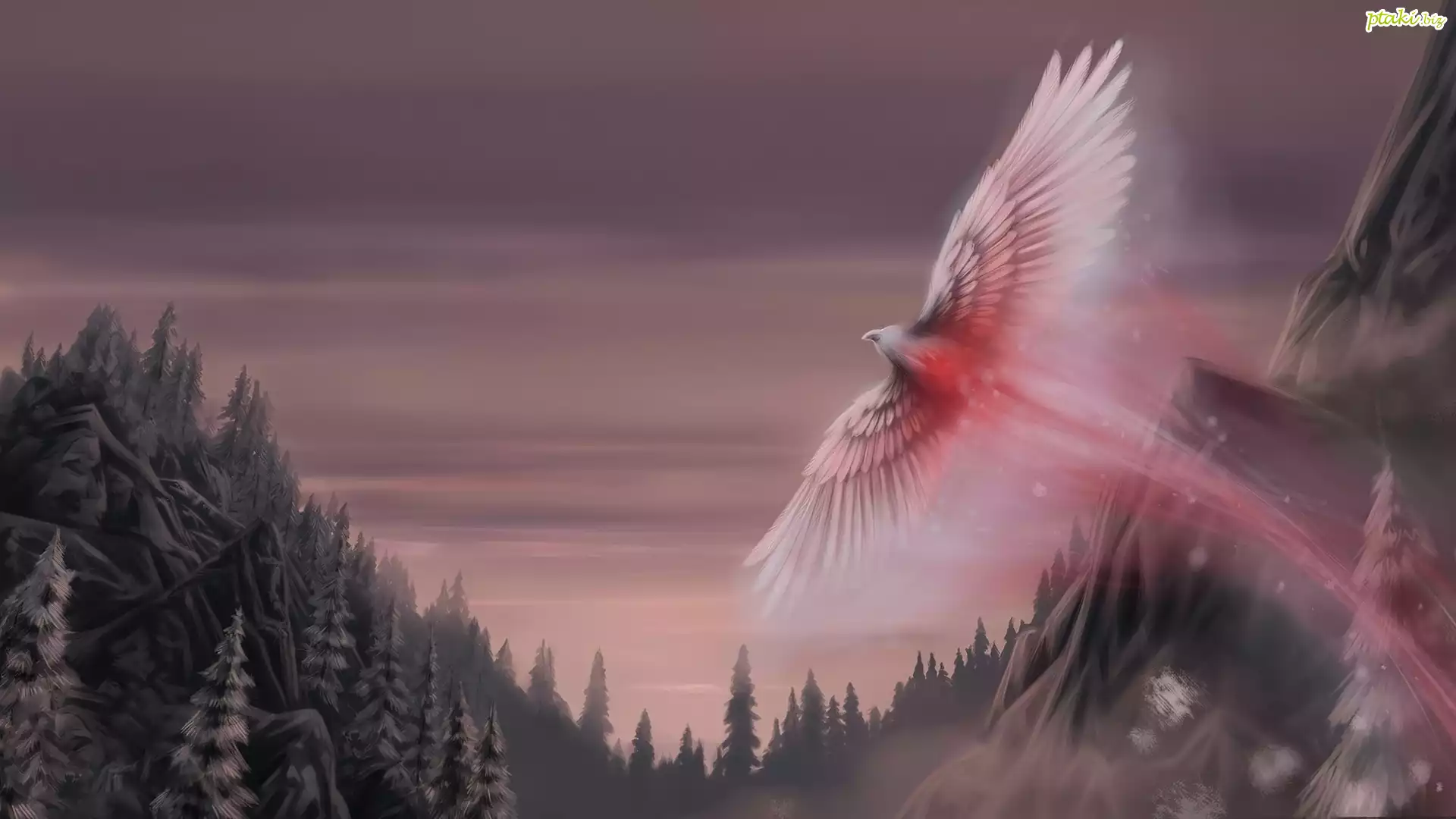 Phoenix, Lasy, Niebo