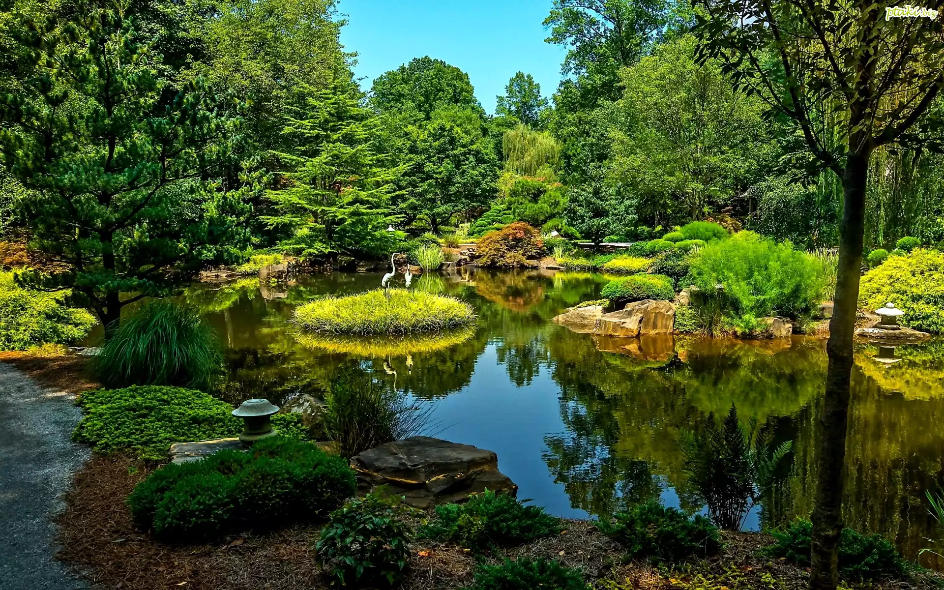 Park, Staw, Zieleń, Żurawie