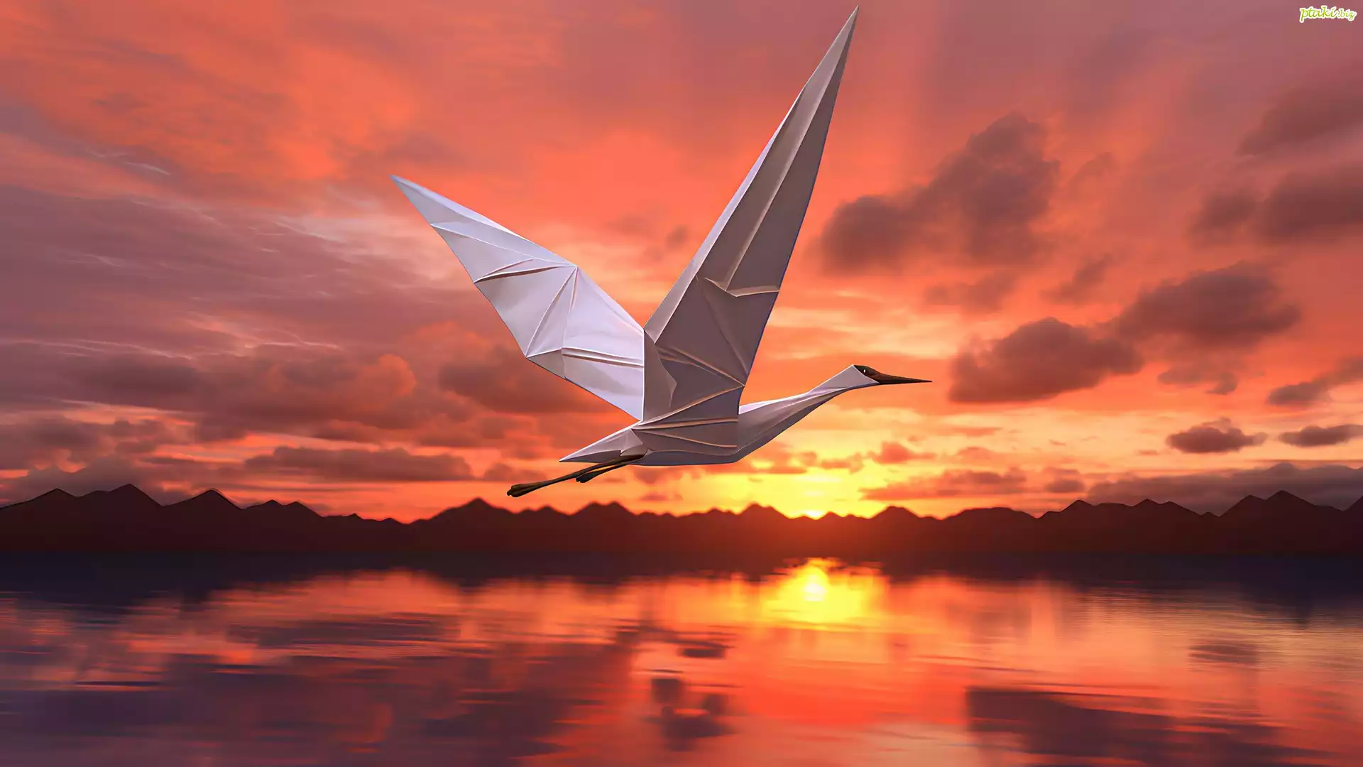 Origami, Ptak, Zachód słońca