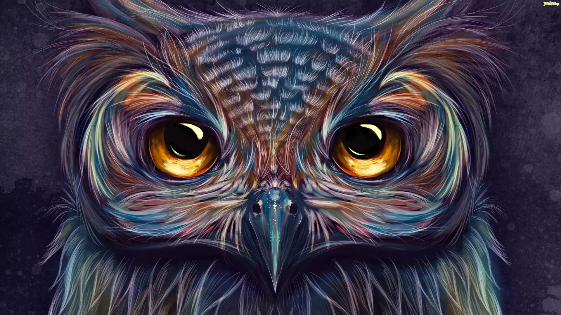 Sowa, Paintography