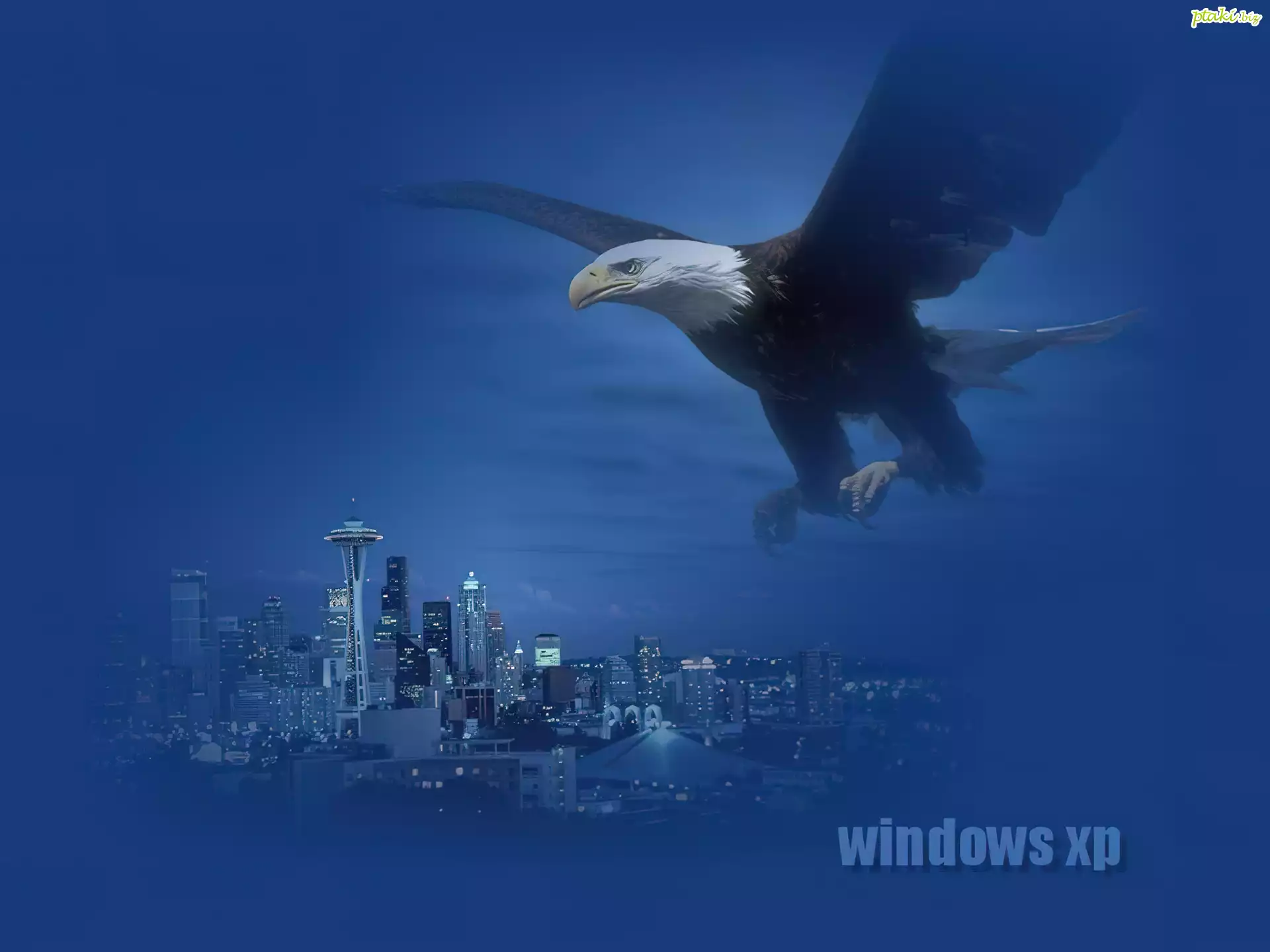 Windows XP, microsoft, miasto, Bielik amerykański